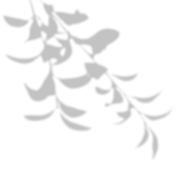 背景